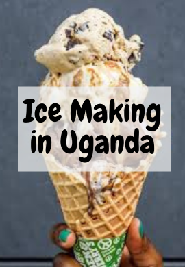 Cool Ventures: Starting an Ice-Making Business in Uganda with Small Capital